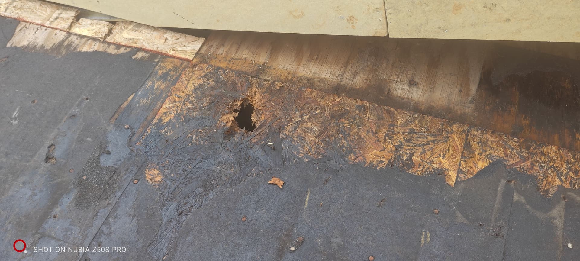 Gallery photos for Strengthening a Roof in Gainesville GA: Image #2