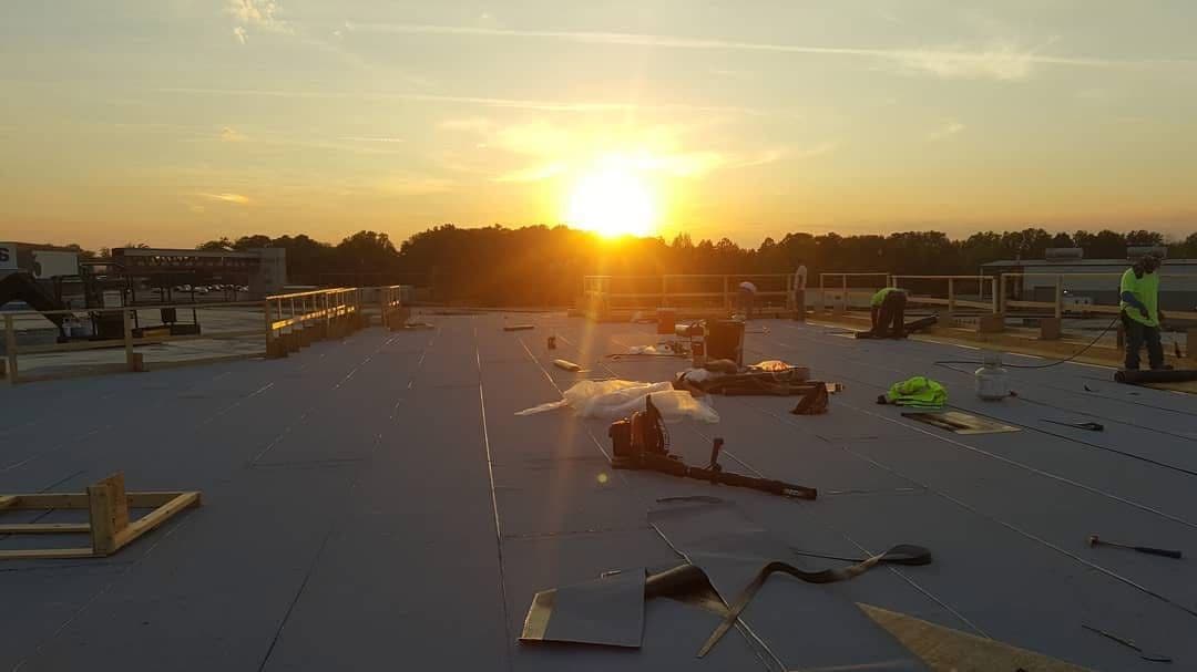 Gallery photos for Rooftop Mastery on the 'Rampage' Movie Set: Image #8