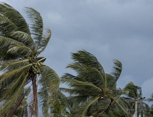 How to Get Your Roofing Ready for Hurricane Season!