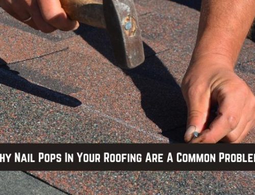 Why Nail Pops In Your Roofing Are A Common Problem!